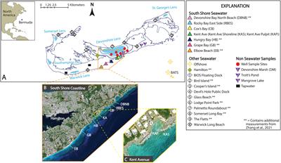 Quantifying variations in δ18Ow and salinity in modern Bermudan waters on hourly to monthly timescales